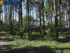 Погрузили в багажник и вывезли в лес: в Краснодаре задержан участник жестокого убийства 12-летней давности