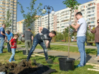 Мэр Краснодара Первышов посадил деревья в Юбилейном микрорайоне 