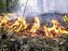 О сильных пожарах предупредили жителей Краснодарского края 