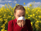 Краснодарцы меньше других страдают от аллергии