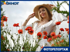 Огромное маковое поле расцвело в Краснодаре