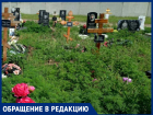 Кладбище в хуторе Копанском Краснодара утопает в амброзии