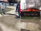Огромные змеи и крокодилы уползли из-за пожара в доме-террариуме под Краснодаром
