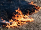 В Краснодаре в районе «Баскет-Холла» загорелась трава