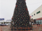  «Что-то рановато», - В Краснодаре установили первую новогоднюю елку 