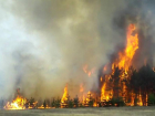 МЧС предупредило о возросшей пожароопасности в Краснодарском крае