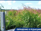 Надгробия утонули в траве на кладбище в Краснодаре 