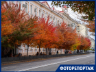 Краснодар вспыхнул красно-жёлтыми красками: осенняя фотопрогулка по городу