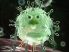 «А что происходит?»: мемы краснодарцев про забытый коронавирус взрывают соцсети