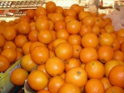  В порту Новороссийска задержали партию зараженных апельсинов из Египта