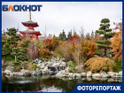 Без очередей и толп туристов: Японский сад парка Галицкого проводил первую осень яркими красками
