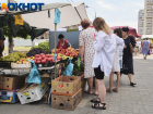 Сочные фрукты и свежая зелень: в Краснодаре 16 сентября открылись ярмарки выходного дня