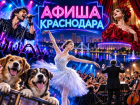 Куда сходить в Краснодаре: афиша мероприятий с 28 сентября по 4 октября 