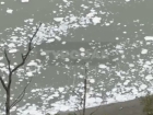 Пену и масляные пятна заметили краснодарцы в реке Кубань 