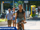 Велосипедисты Краснодара: дорожные хищники или невинные жертвы