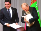  Путин в Сочи поцеловал собаку, которую ему подарили на день рождения 