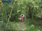 В Краснодаре "Берегокубанский лес" станет особо охраняемой территорией отдыха