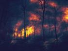 Лесной массив загорелся в Краснодарском крае