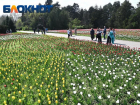 Временно закроют Ботанический сад в Краснодаре 