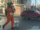Странный мужчина в костюме тигра с двумя енотами и собакой замечен в Краснодаре