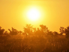 Штормовое предупреждение: на Кубань вернётся сильная жара 