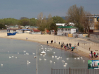 Чиновники Анапы лично отполировали город к приезду «кормильцев»
