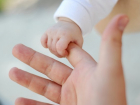 Подброшенного в бэби-бокс младенца в Краснодаре готовы усыновить сразу несколько семей 