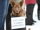 Активисты организовали пикет в Краснодаре против живодеров и зооэкстремистов
