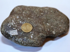 Камень возрастом сотни миллионов лет выловил рыбак на Кубани