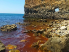 Красным цветом окрасилось море у скалы Парус под Геленджиком