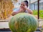 Рекорд по выращиванию самой тяжелой тыквы поставили в Краснодарском крае