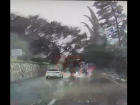На видео попало рухнувшее на авто дерево во время шторма в Сочи