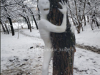 Снежного человека нашли в Краснодаре