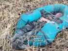 На Кубани нашли тело рыбака на песчаном карьере