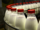 Краснодарский край занимает второе место в России и первое в ЮФО по производству молочной продукции