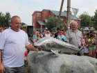 В Должанской появился металлический осетр