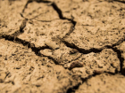 Гидрометцентр предупредил о сохранении риска засухи на Кубани