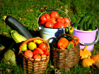 Несколько причин пойти и купить свежих овощей и фруктов