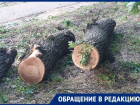Путину писали: вырубку дубовой рощи в Краснодаре приостановили