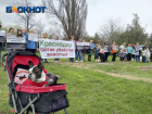 «Легко убить, а вы найдите причину»: пикет в защиту бездомных животных собрал более сотни краснодарцев
