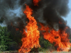 Масштабный лесной пожар в Геленджике: 10 гектаров тушат более 100 человек