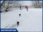 В Краснодаре показали засыпанные снегом улицы