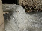  Экологи бьют тревогу: река Кубань превратилась в сток фекалий