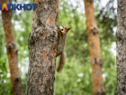 Новая неделя в Краснодаре начнётся с ясного и прохладного дня