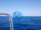  Воздушный шар упал в Черное море в Сочи 