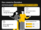 Накануне «Черной пятницы»: Билайн оценил активность пользователей на маркетплейсах