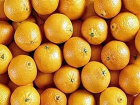 100 тонн апельсинов из Египта не попадут на стол к жителям Кубани