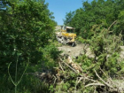 В Мысхако можжевеловый лес давят бульдозеры