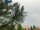 Сильный дождь и гроза накроют Краснодар в конце рабочей недели