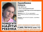 Третьи сутки в Краснодарском крае ищут пропавшую 9-летнюю Камилу 